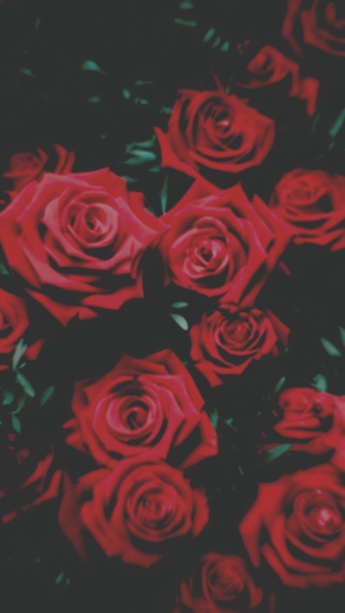 Pixie banner image