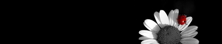 Apheria cover image