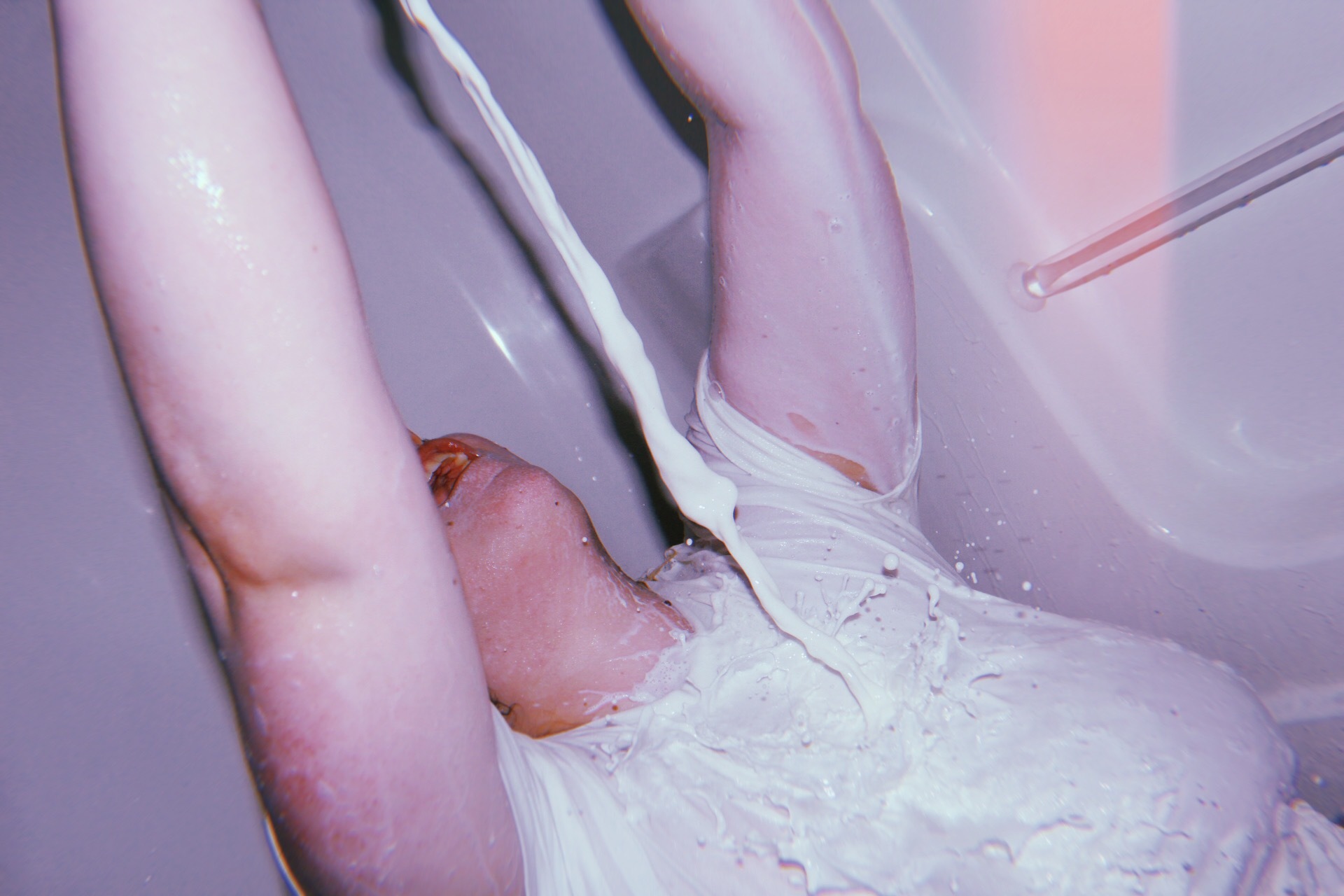 Daisy ๐ผ banner image
