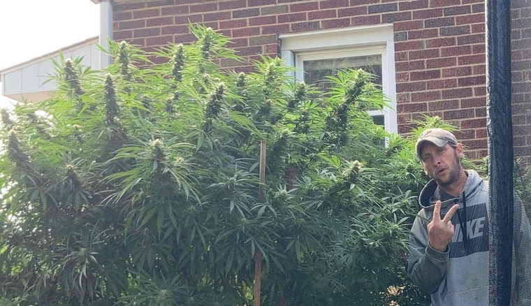 applejr420 banner image