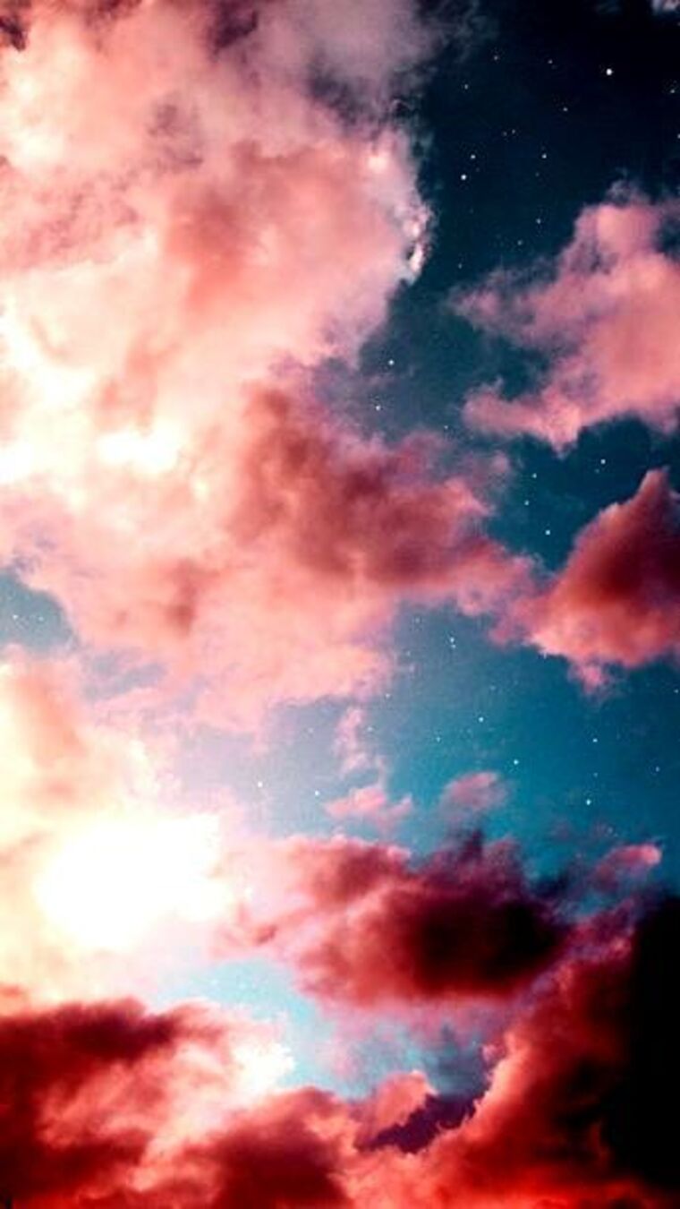 Apricotsun cover image