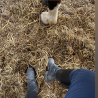 FeetEquestrian avatar