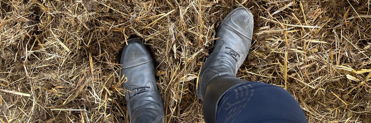 FeetEquestrian banner image
