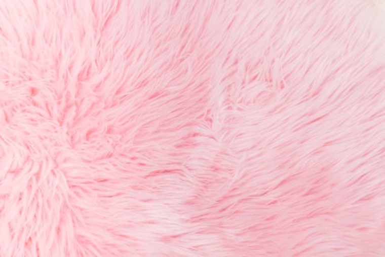 ArabellaFeet banner image