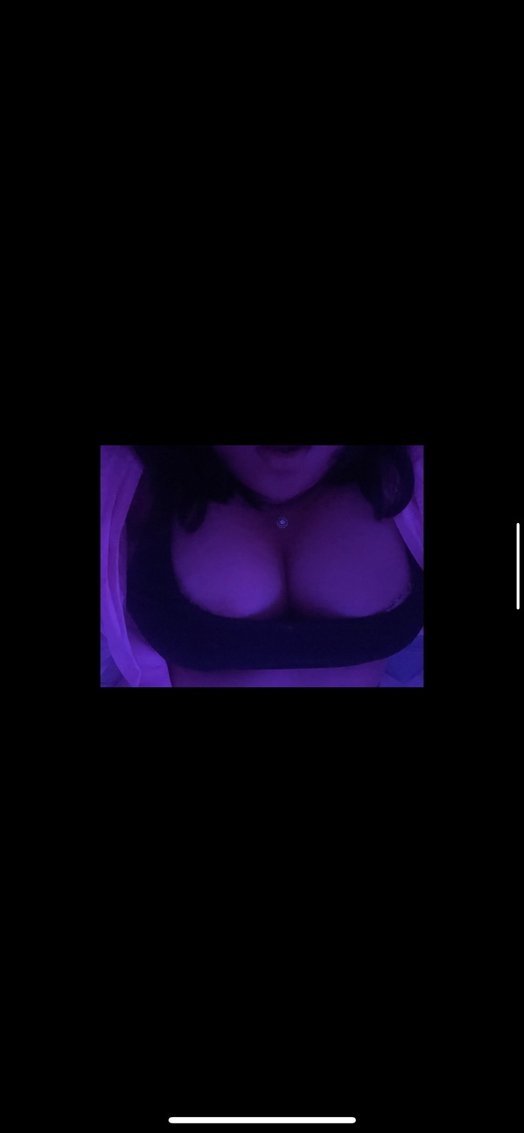 Arabella Rose banner image