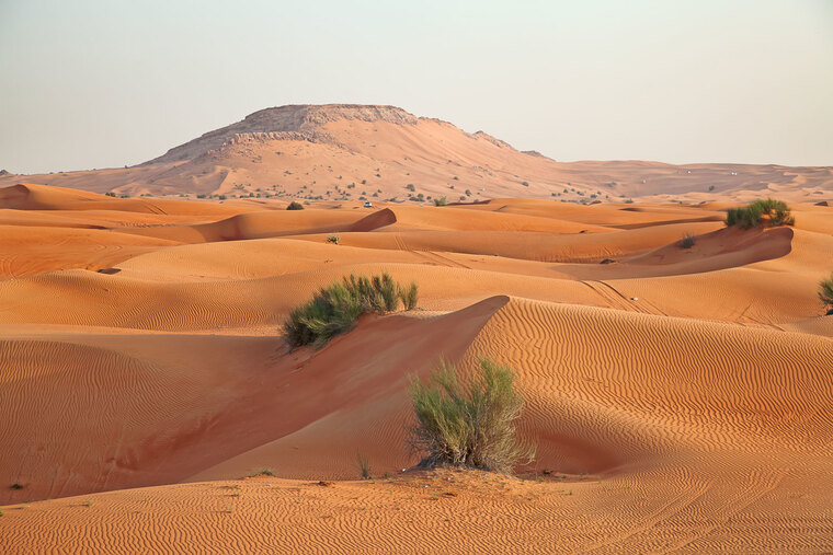 Horny Arab Men cover image