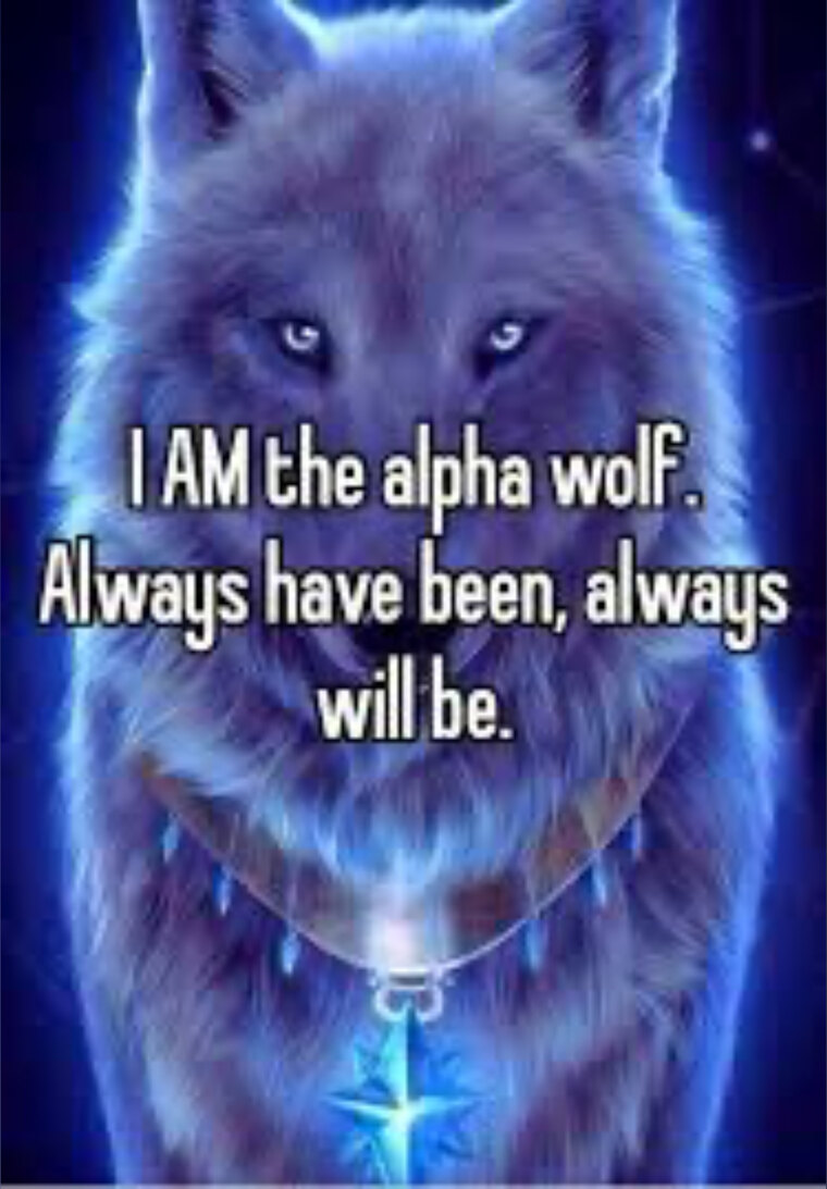 Alpha Wolfy cover image