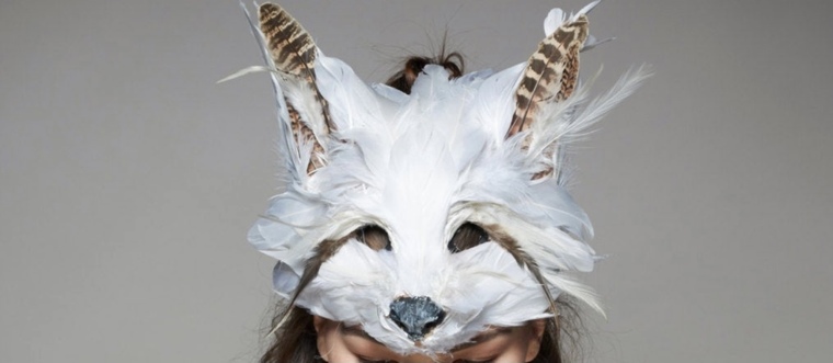 Arctic Fox cover image