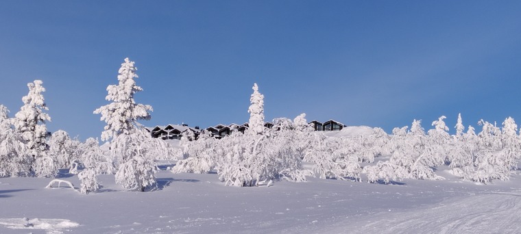 Esa at the arctic cover image