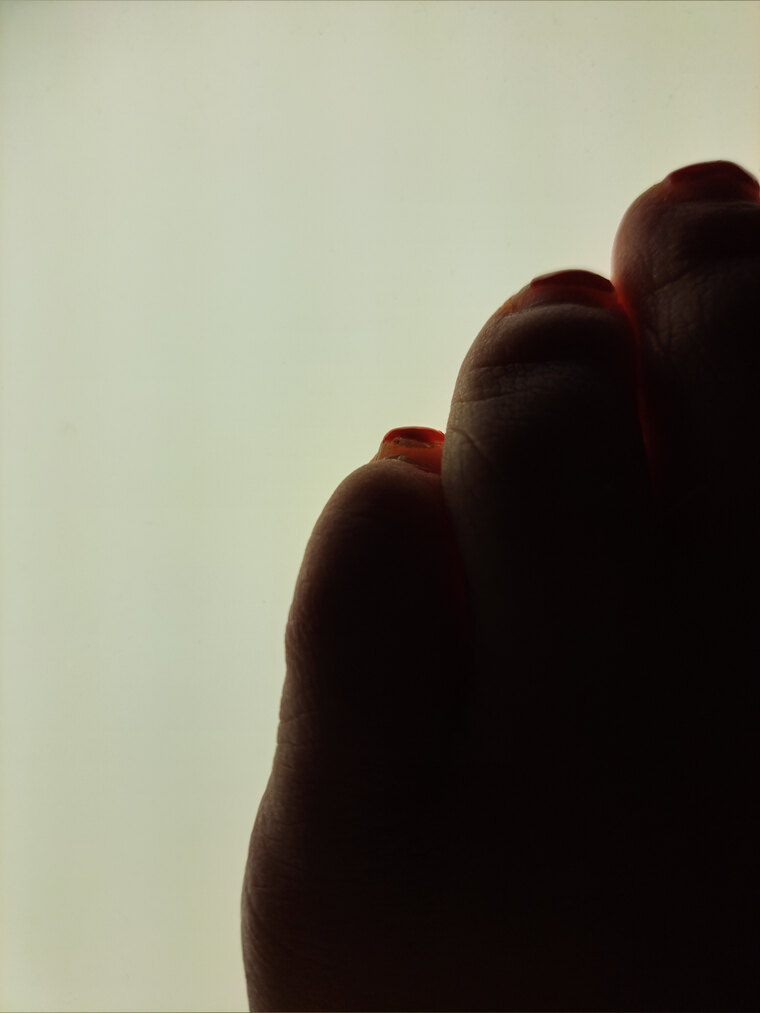 Arctic Feet Sisters cover image