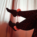 Arcticsweetfeet avatar