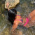 Ariela Barros avatar