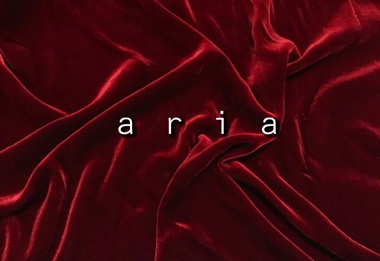 Aria π₯π€ banner image