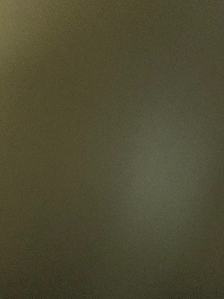 Ariana Agostina soria banner image