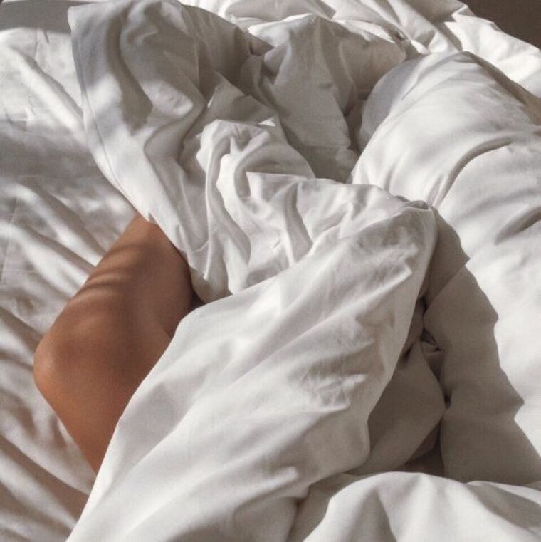 Arielle Lemon banner image