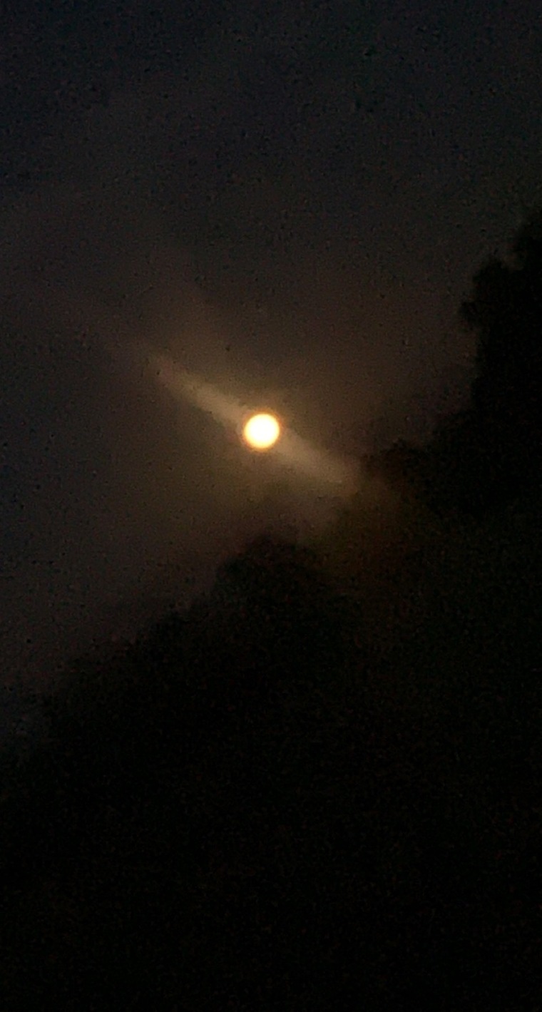 KynleeSky cover image