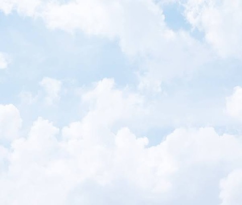 Ari cover image
