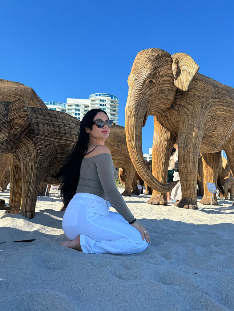 Ariannys banner image