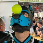 Puppy ArkoVienna avatar