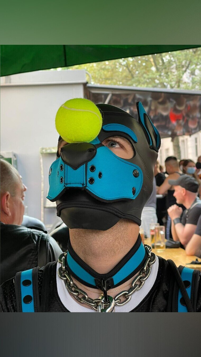 Puppy ArkoVienna cover image
