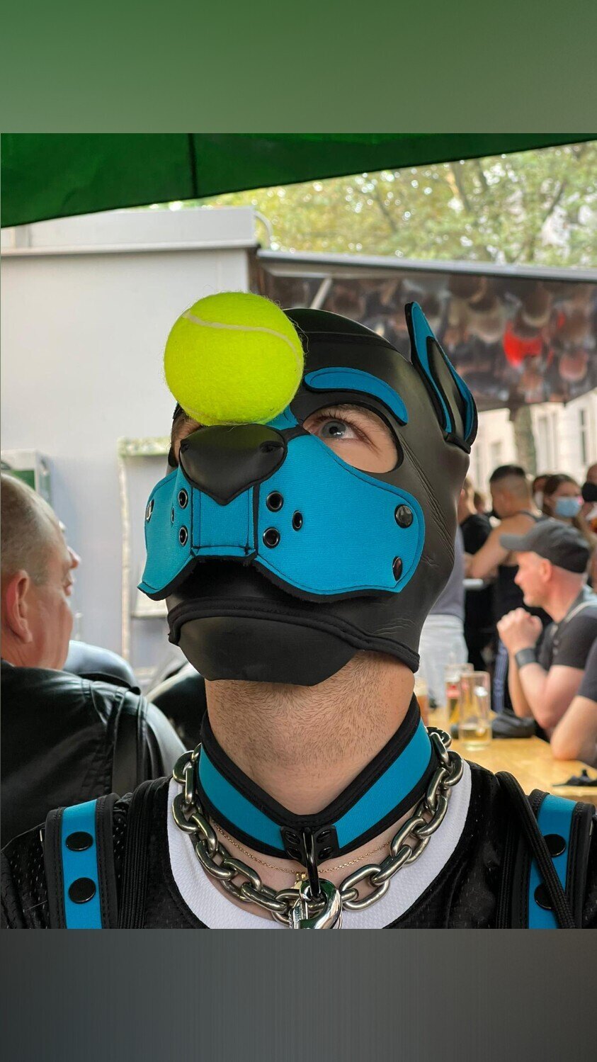 Puppy ArkoVienna banner image