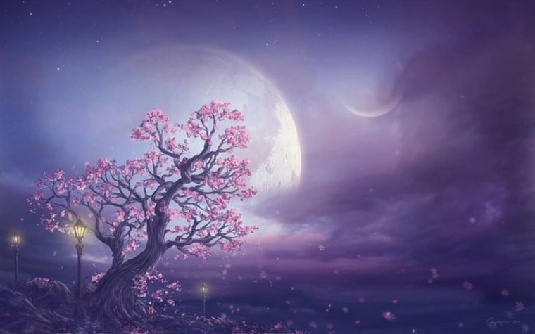 ArshisStarr banner image