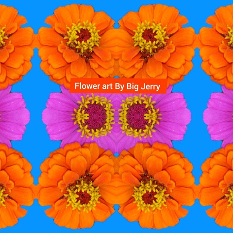 Big Jerry Visuals cover image