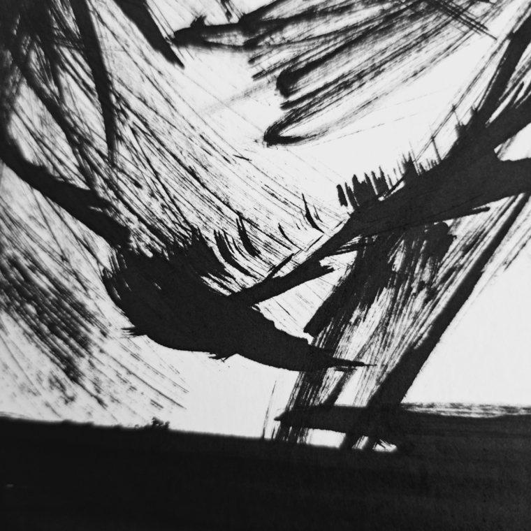 SKI cover image