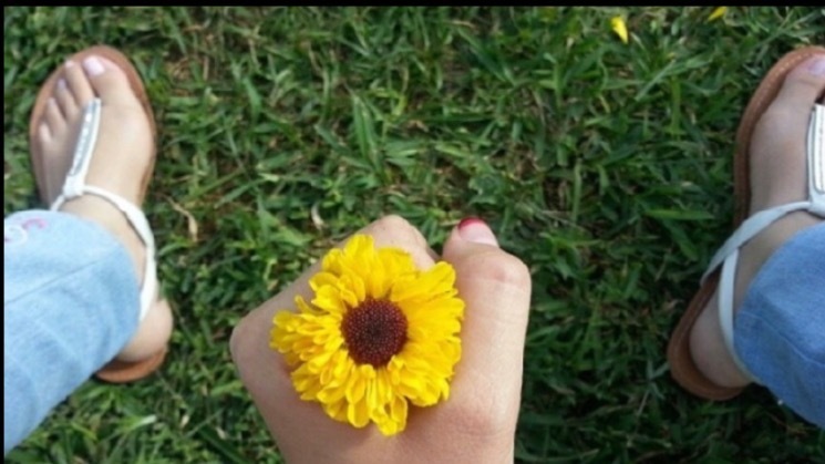 Arte feed banner image