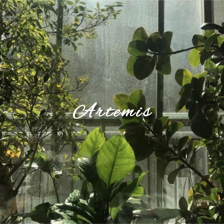 Artemis Rain cover image