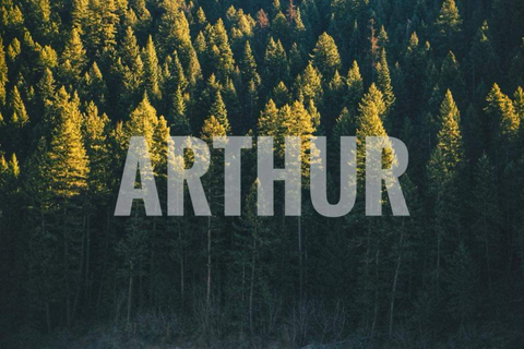 Arthur Nils cover image