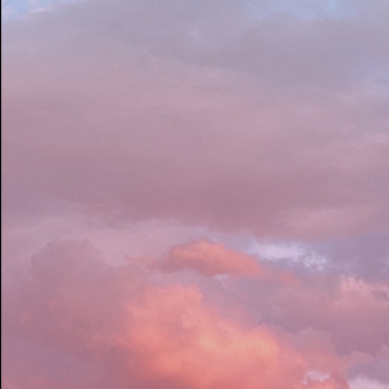 not your baby girl cover image