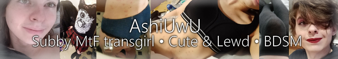 Ashi banner image