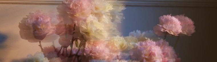 Ash π banner image