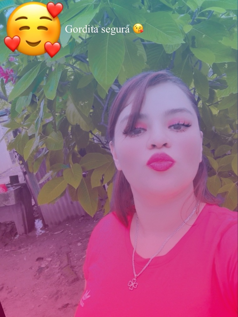 Gordita Segura cover image