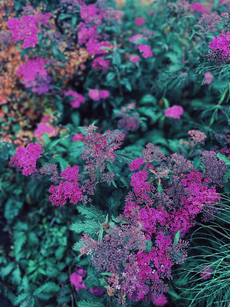 Trashley99 banner image