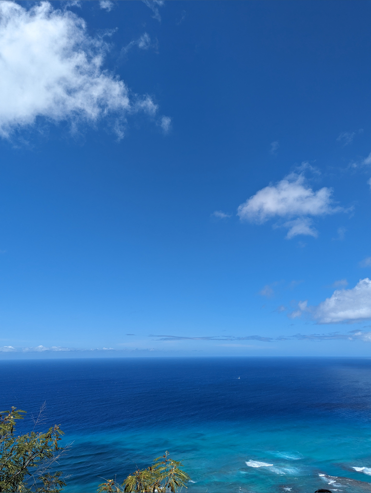 Courtni Li banner image