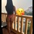 Asian Mouse avatar