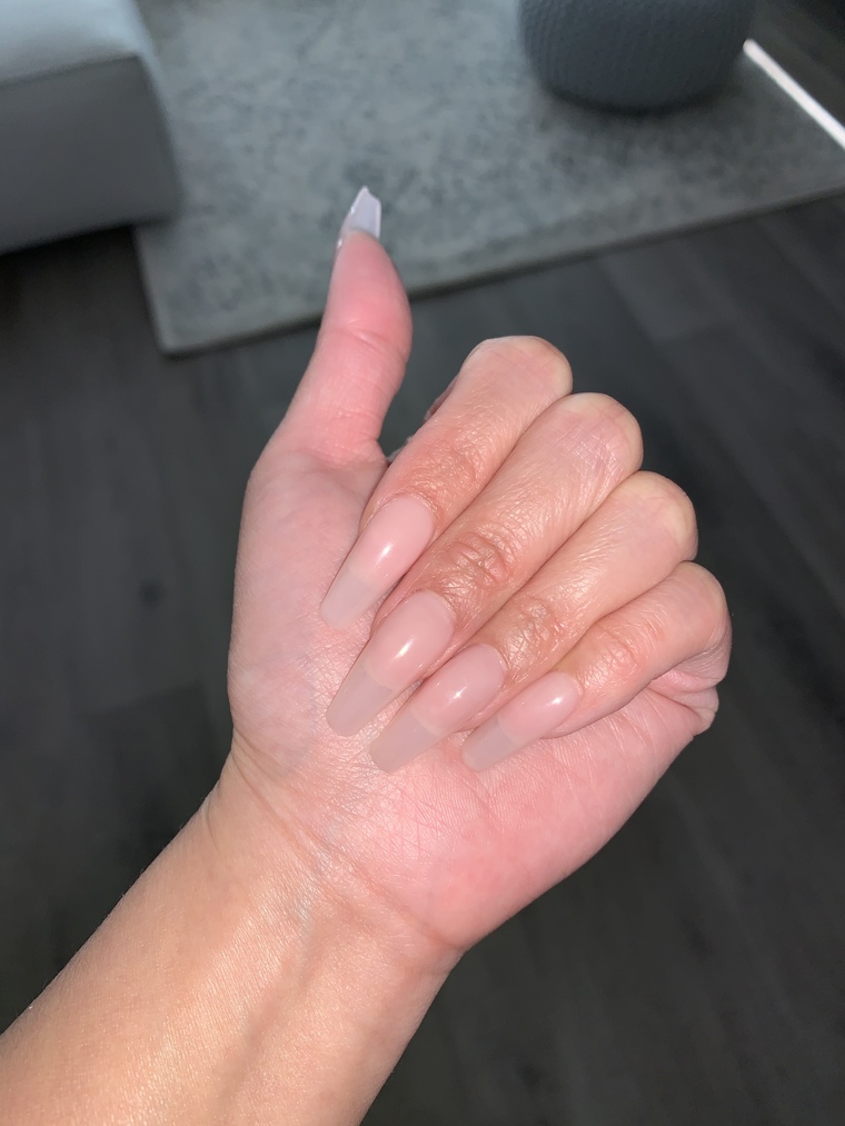 AsianPiscesxo cover image