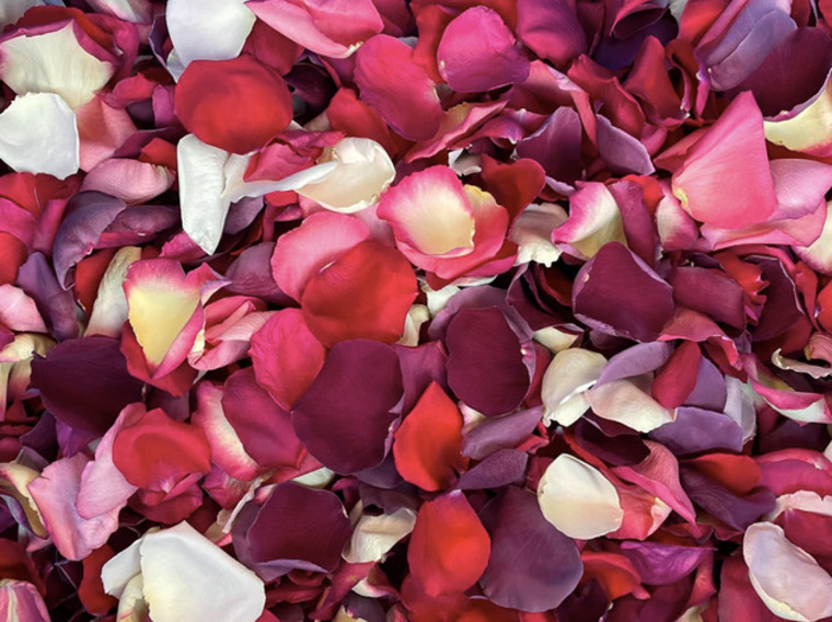 asiancd cover image