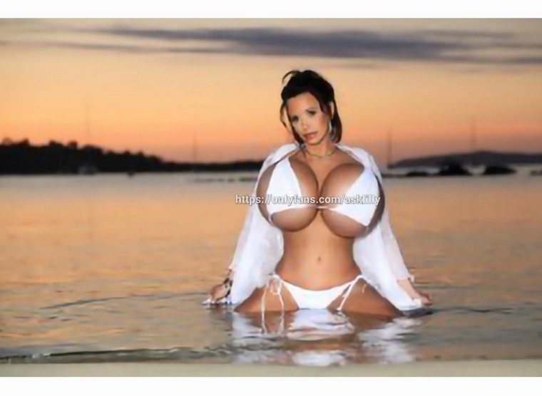 Lilly banner image