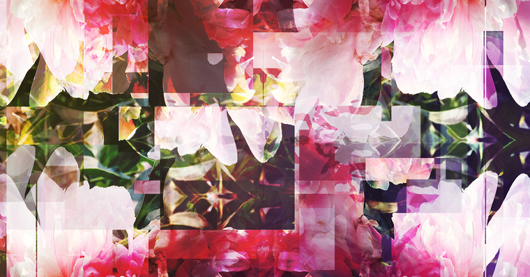 X banner image