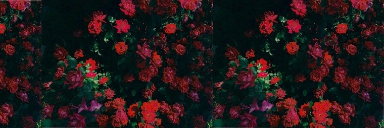 🍰 ASoleSnack - VIP cover image