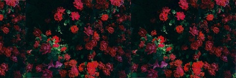 🍰 ASoleSnack - VIP cover image