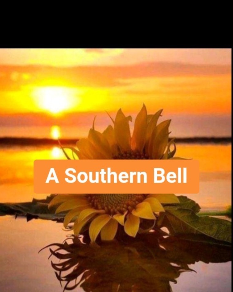 Southern Bell banner image
