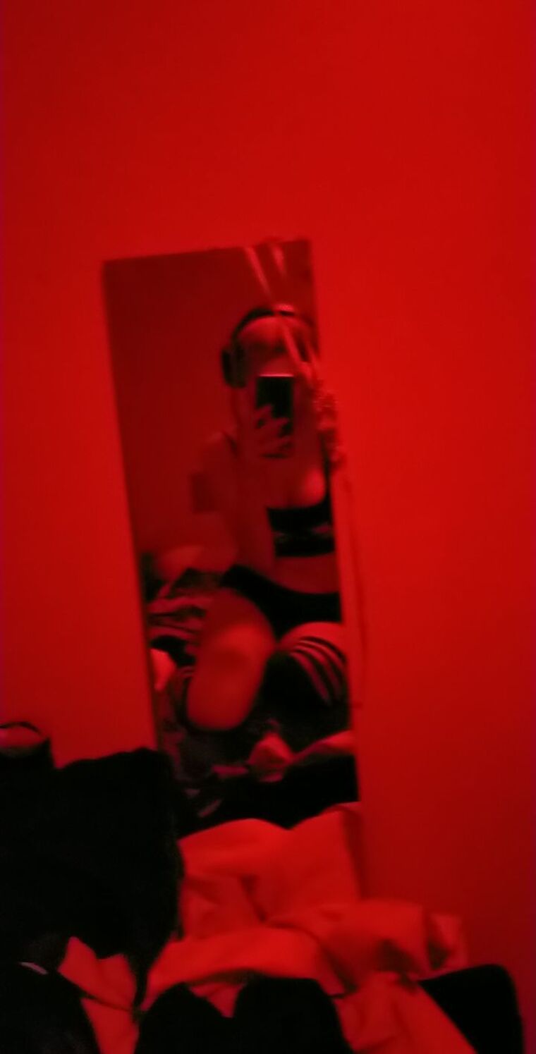 Koi cover image