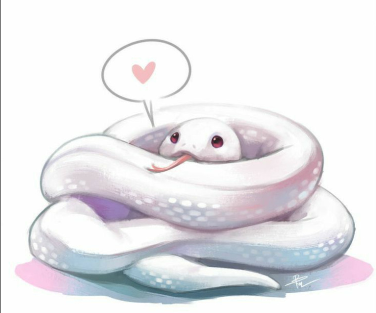 ๐ธ๐ค๐ฅ๐ฃ๐๐ ๐ธ๐๐๐๐ ๐ฝ๐ฃ๐๐ banner image