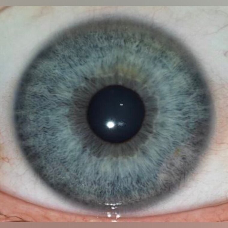 BlueEyed-Alpha banner image