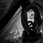 Attractive Agony avatar