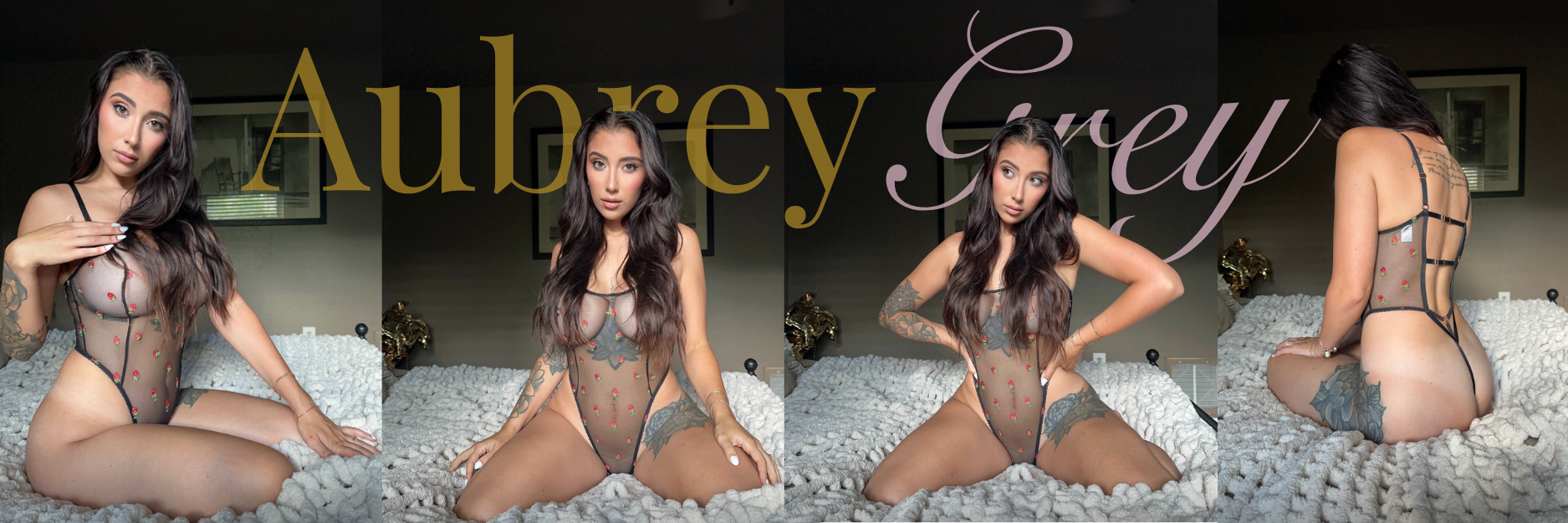 Aubrey Grey (VIP) banner image